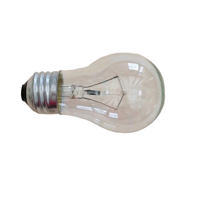 WS01F01495 Range Light Bulb