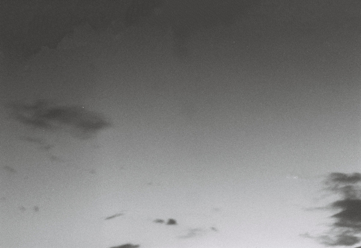 a black and white photo of a plane flying in the sky