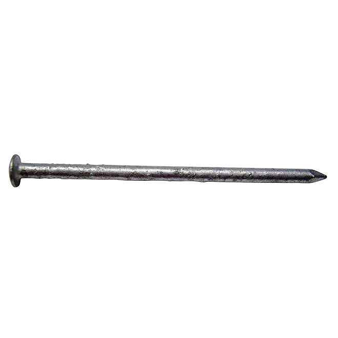 2-1/2" Oval Head Siding Hot Galvanized, (50 LB)