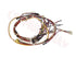 WS01F07839 Oven Radiant Cooktop Main Wire Harness, Replaces 295D1159G002