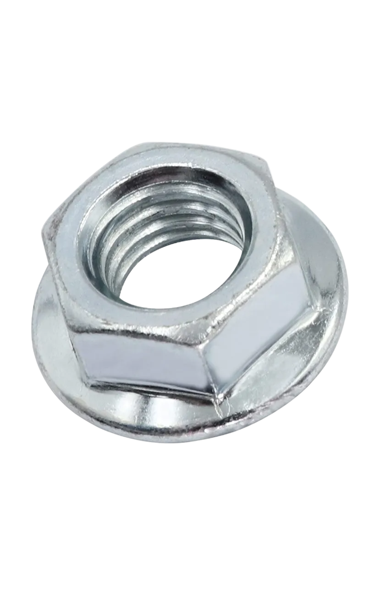 2841630100 Hexagon Nut