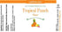 Tropical Punch Flavoring - Super Strength Flavor 1 oz., 16 oz., 1 Gallon, 5 Gallons - Ships Free Within Canada on Orders Above CAD $199