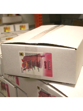 Guava 4 in 1 Mix for Bubble Tea, Smoothies, Lattes and Frappes, 3 lbs. Bag (Case 6 x 3 lbs. Bags)  - Ships Free Within Canada on Orders Above CAD $199