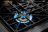 Dacor - 47.87 inch wide Gas Cooktop in Stainless - HRTP486S/LP