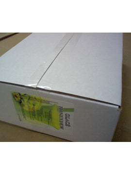 Honeydew 4 in 1 Mix for Bubble Tea, Smoothies, Lattes and Frappes, 3 lbs. Bag (Case 6 x 3 lbs. Bags)  - Ships Free Within Canada on Orders Above CAD $199