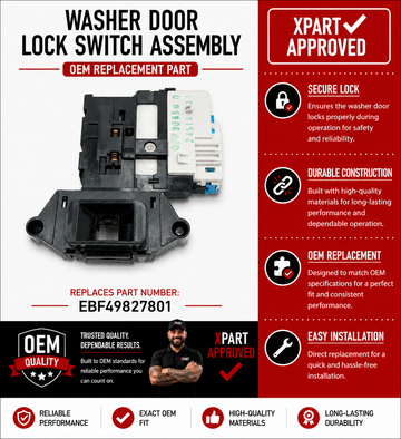 Washer Door Lock and Switch Assembly