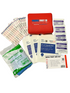 Mini First Aid Kit in Plastic Case