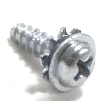 Screw
