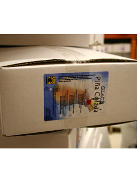 Pina Colada 4 in 1 Mix for Bubble Tea, Smoothies, Lattes and Frappes, 3 lbs. Bag (Case 6 x 3 lbs. Bags)  - Ships Free Within Canada on Orders Above CAD $199