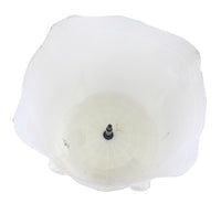W10381078 Top Load Washer Outer Tub Assembly