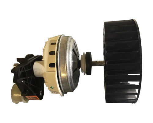 W11088562 Dryer Motor - Appliance Genie