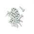 Self Tapping Screws, White (50/Pack)