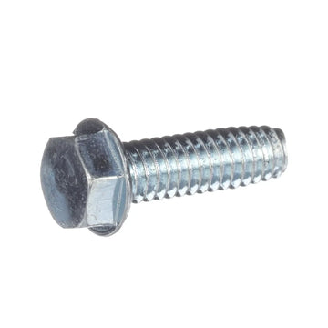 Screw