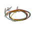 WS01F08465 Gas Range Wire Harness
