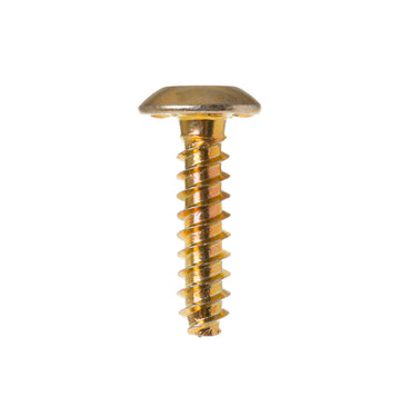 Screw