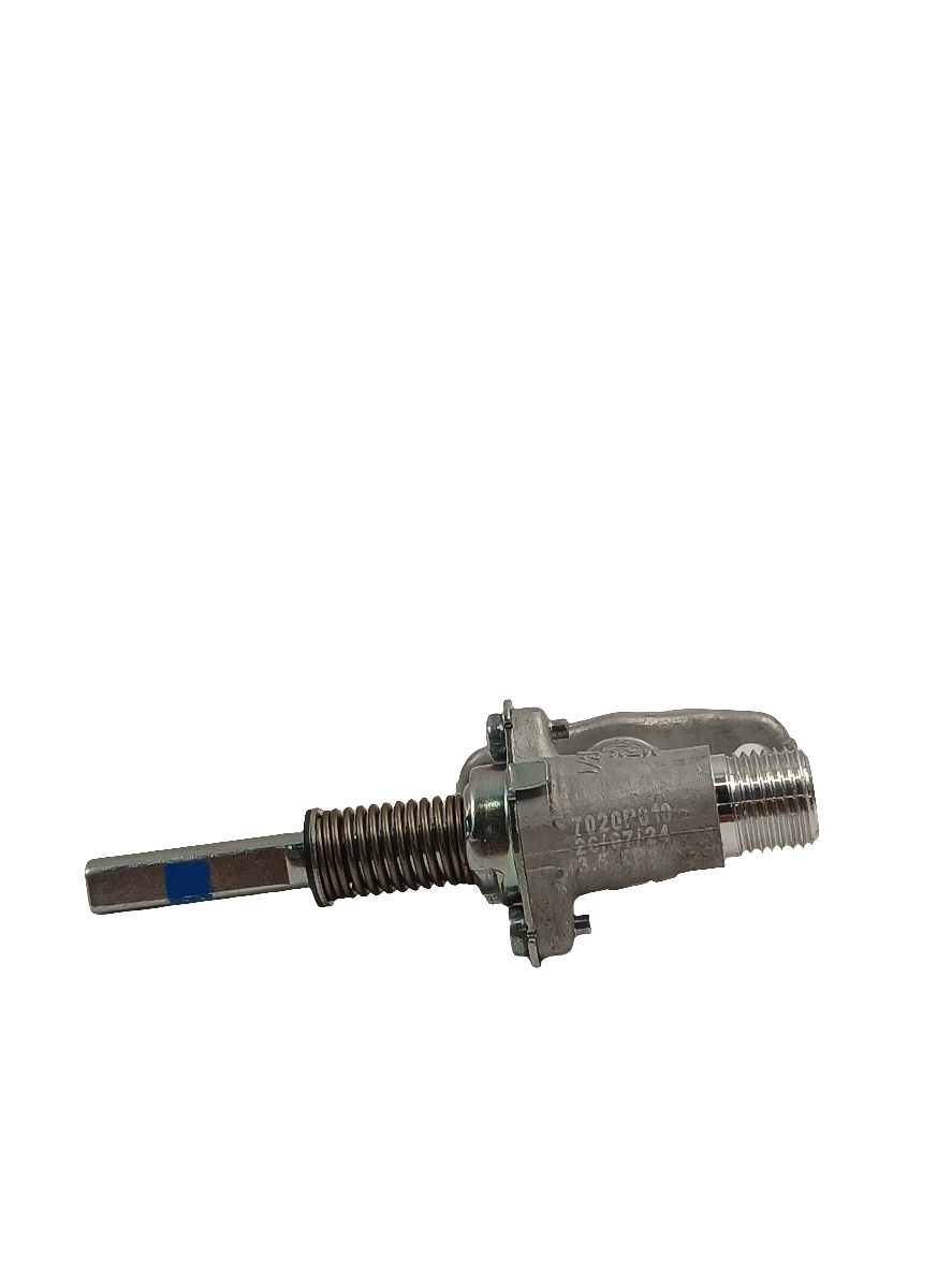 WS01F05940 Range Oven Burner Valve (replaces 223C7020P010, WB21X20262) - XPart Supply Ltd.