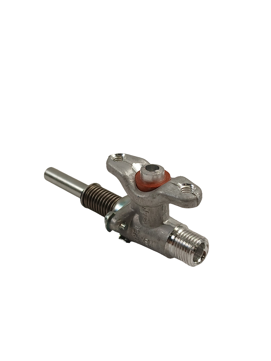 WS01F05940 Range Oven Burner Valve (replaces 223C7020P010, WB21X20262) - XPart Supply Ltd.