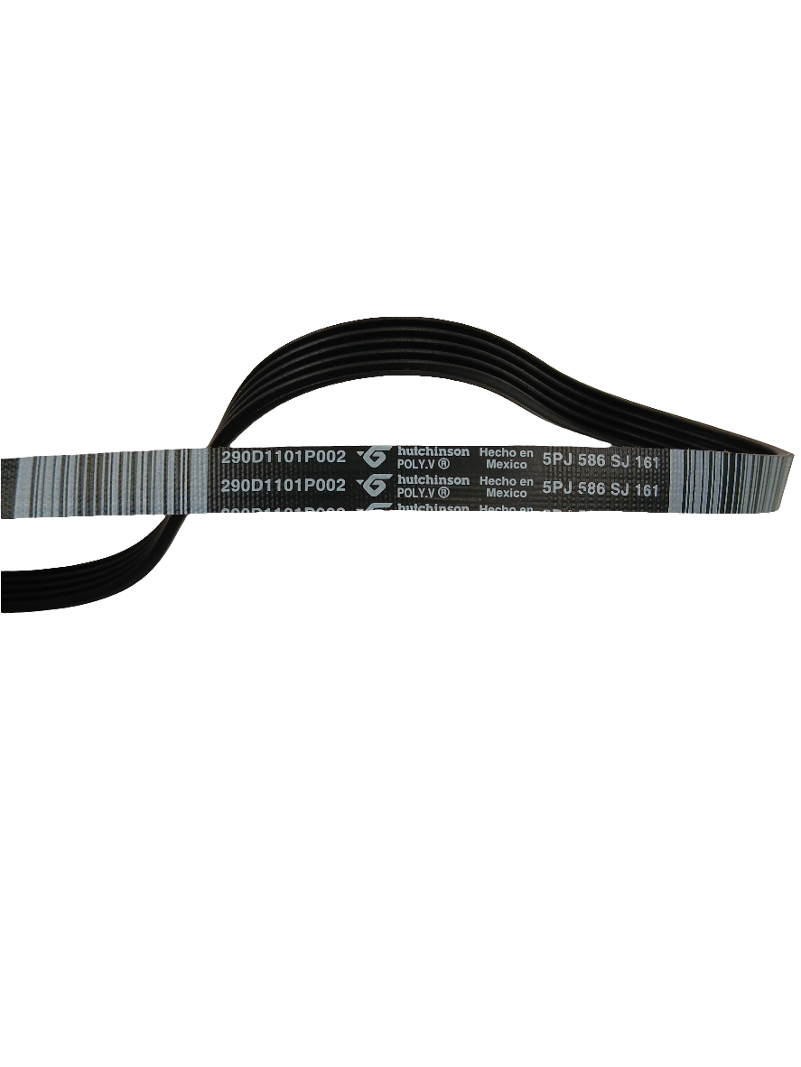 WG04L05385 Washer Drive Belt (replaces WW01F01756, WH01X24180, 290D1101P002, 5PJ586SJ161) - XPart Supply Ltd.