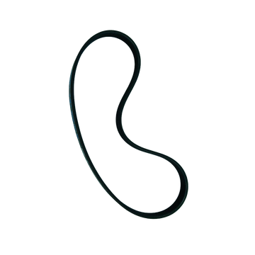 Washer Drive Belt