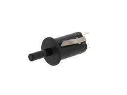 WS01F01554 Oven Door Plunger Switch