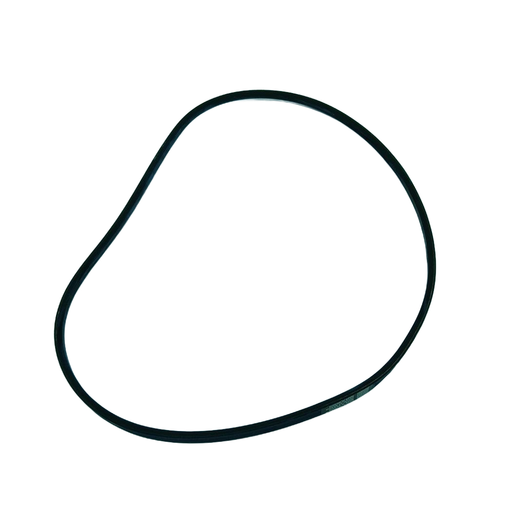 WP22003483 Washer Drive Belt - XPart Supply Ltd.