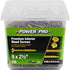 5 lb tub of Hillman Power Pro wood screws 9 x two and a half inch premium interior gold coated screws