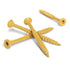 Deck Plus No. 10  x 2-1/2 in. L Star Flat Head Exterior Deck Screws 1 lb.