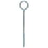 Hampton 5/16 in. x 6 in. L Zinc-Plated Steel Lag Thread Eyebolt Nut Included (Pack of 10)
