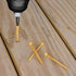 Deck Plus No. 10  x 2-1/2 in. L Star Flat Head Exterior Deck Screws 1 lb.