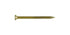 FastenMaster GuardDog No. 10 X 2-1/2 in. L Gold Phillips/Square Bugle Head Deck Screws 350 pk