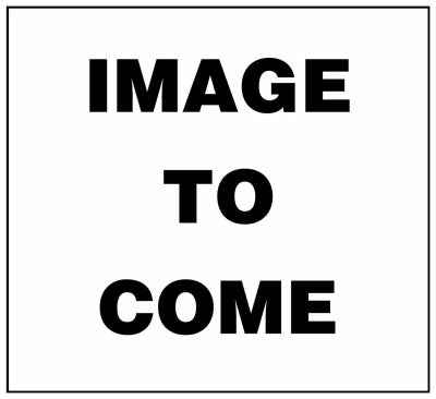Deck Plus No. 8  x 1-1/4 in. L Star Flat Head Exterior Deck Screws 75 pk
