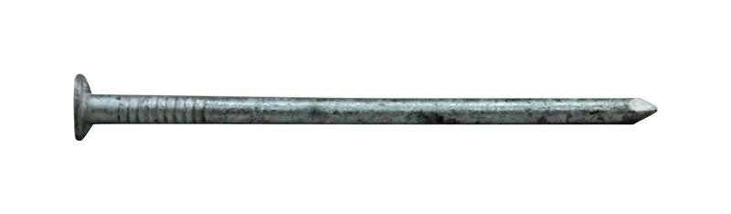 Pro-Fit 3 in. Box Hot-Dipped Galvanized Nail Flat Head 1 lb