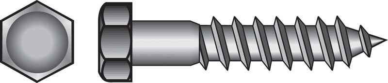 BOLT LAG 5/16X3" SS