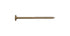 Simpson Strong-Tie Strong-Drive No. 5 Sizes X 5 in. L Star Low Profile Head Bold Structural Screws
