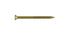 FastenMaster GuardDog No. 10 X 2-1/2 in. L Gold Phillips/Square Bugle Head Deck Screws 75 pk