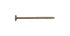 Simpson Strong-Tie Strong-Drive No. 5 Sizes X 6 in. L Star Low Profile Head Bold Timber Screws