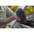 GutterBrush 4.3 in. W X 3 ft. L Black Polypropylene/Steel Gutter Guard