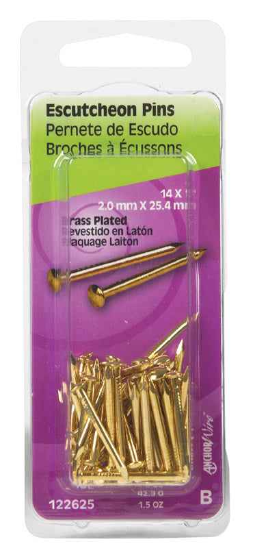 Hillman 14 Ga. x 1 in. L Brass-Plated Steel Escutcheon Pins 1 pk 1.5 oz. (Pack of 6)