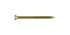 FastenMaster GuardDog No. 10 X 3 in. L Gold Phillips/Square Bugle Head Deck Screws 75 pk