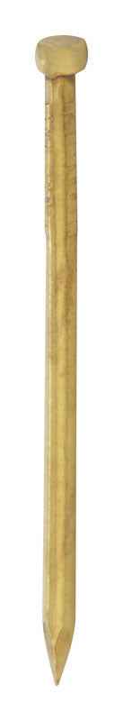 Hillman 16 Ga. x 1-1/4 in. L Brass Brad Nails 1 pk 2 oz. (Pack of 6)