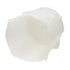 W10381078 Top Load Washer Outer Tub Assembly