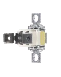 A01802605 Oven/Microwave Thermostat