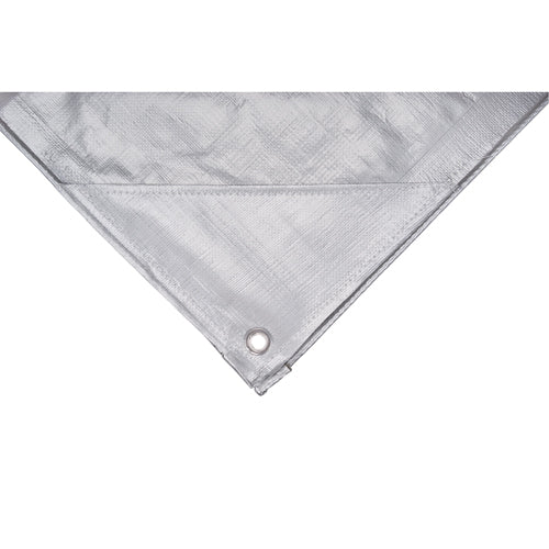 Tarp