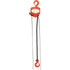 Chain Hoist, 20' Lift, 2000 lbs. (1 tons) Capacity, Alloy Steel Chain