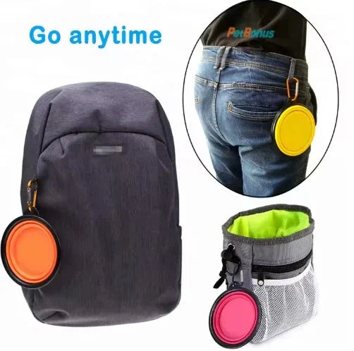 Portable Silicone Pet Bowl with Carabiner Clip, Collapsible, 350 ml