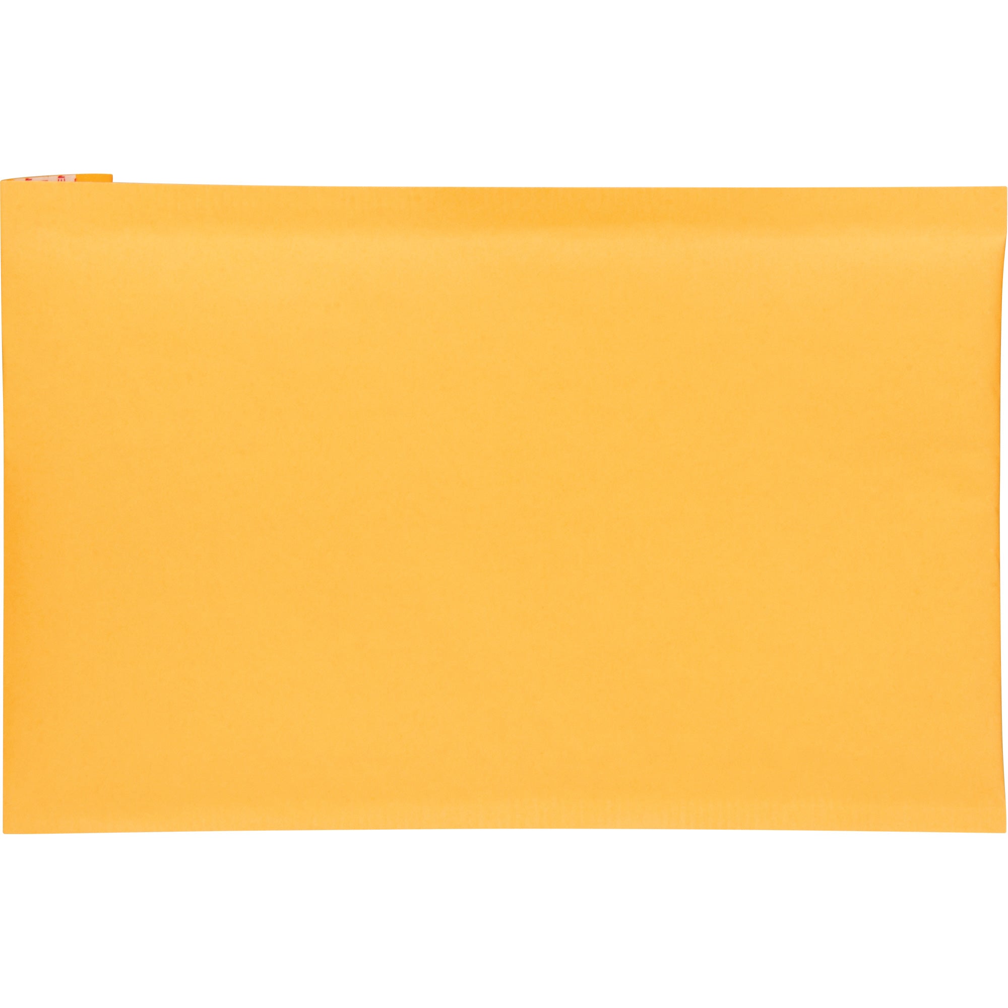 Bubble Shipping Mailer