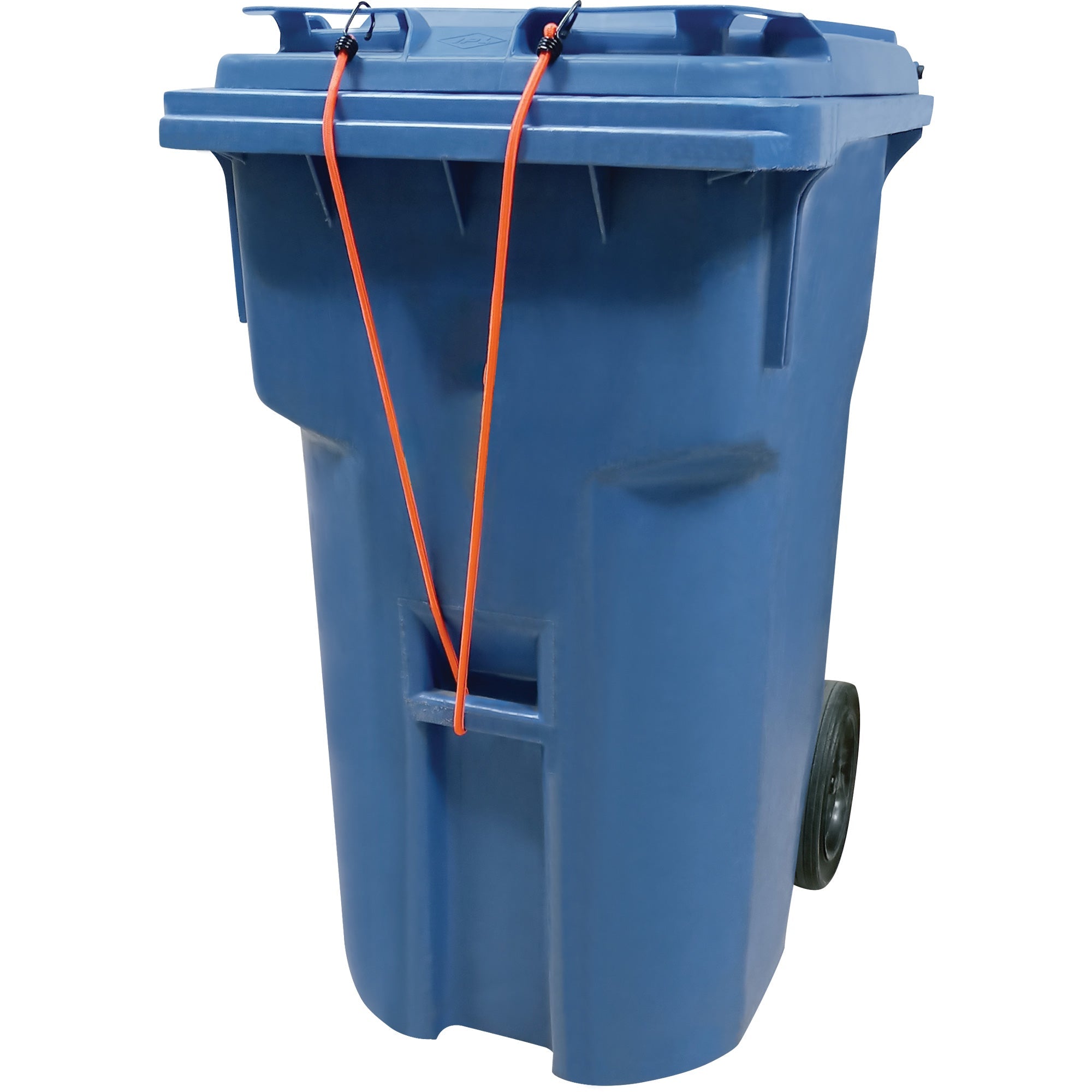 Bungee Cord Tie Downs, 12"