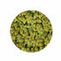 Pistachio Crumble - 4 KG Bucket - Rubicone Canada - Made in Italy