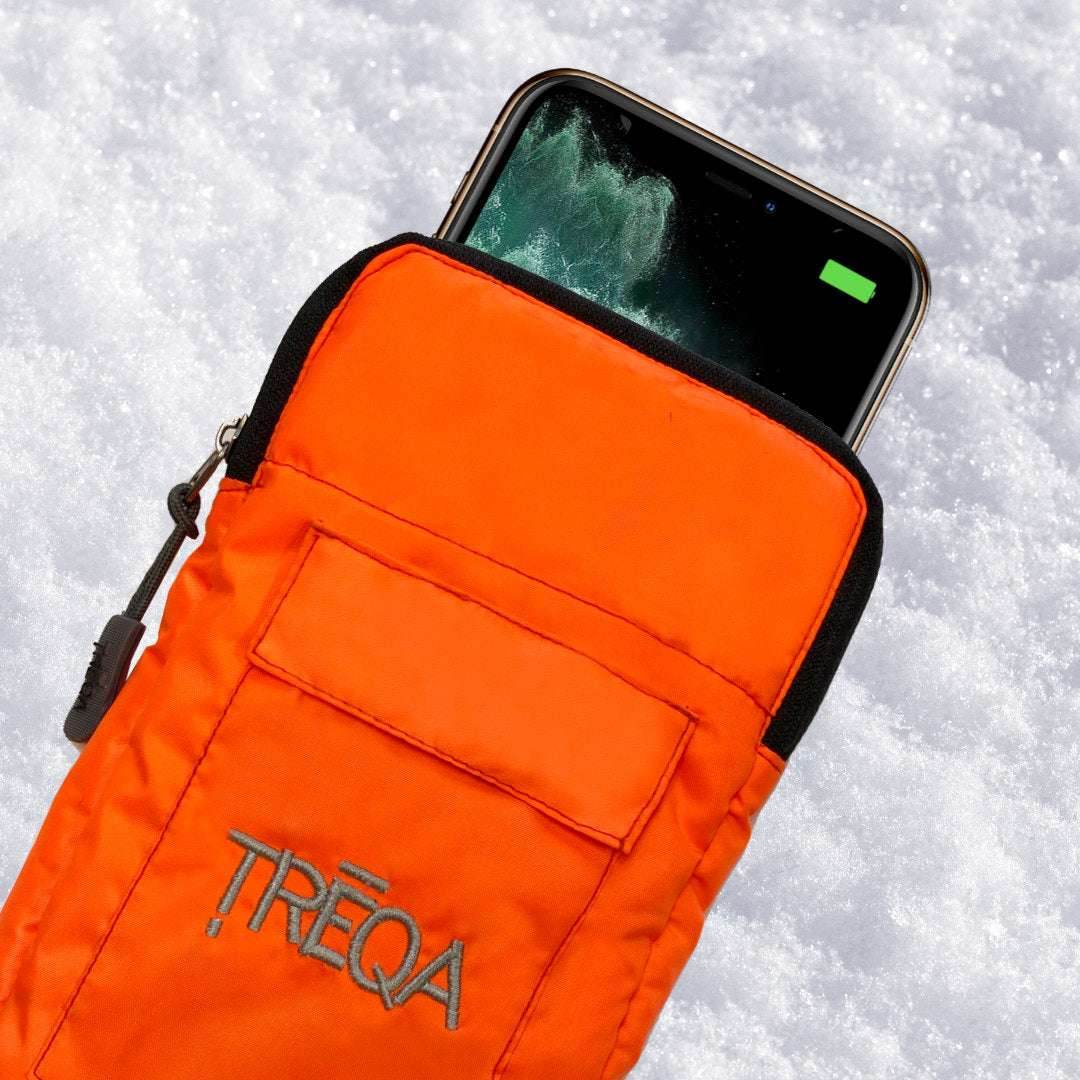 Polar Phone Case