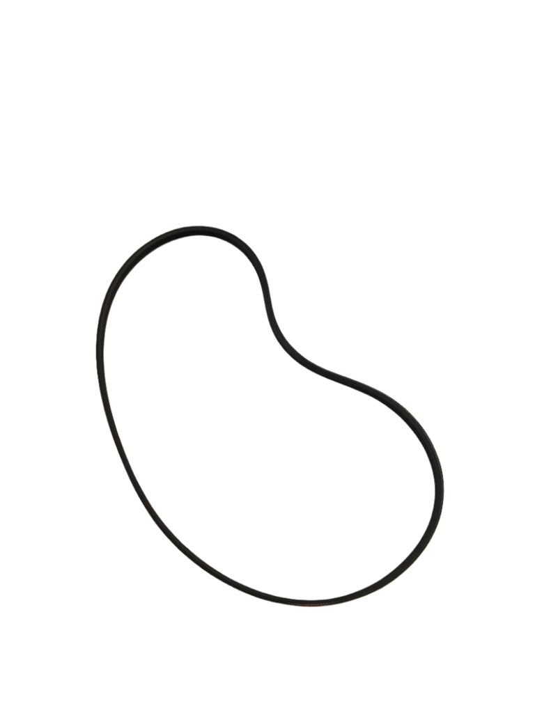 WP8544742 Dryer Blower Belt